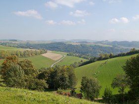 Walderlebnisweg Gschaidt, © Wiener Alpen in Niederösterreich - Bad Schönau