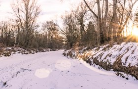 Winterwandern in Eichbüchl, © Wiener Alpen, Florian Luckerbauer