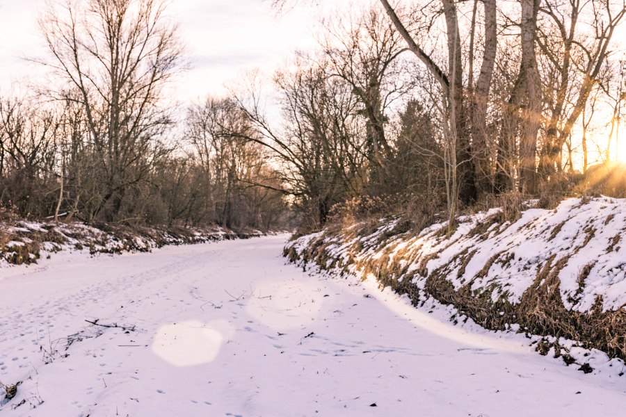 Winterwandern in Eichbüchl, © Wiener Alpen, Florian Luckerbauer