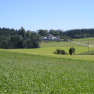 Idyllische Umgebung des Schlosses Gut Ziegersberg, © Schloss Gut Ziegersberg