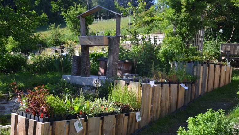 Naturgartenparadies Beisteiner, © Naturgartenparadies Beisteiner