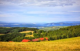 Blick vom Kapellenweg ins Steinfeld, © Wiener Alpen / Christian Kremsl