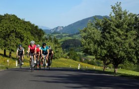 Roadbike Wirtshauskult(o)ur – RadGenuss in NÖ, © Wolfgang Wutzl